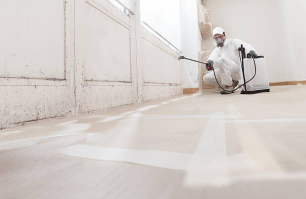 24/7 Emergency Commercial Mold Remediation experts in Holbrook, AZ