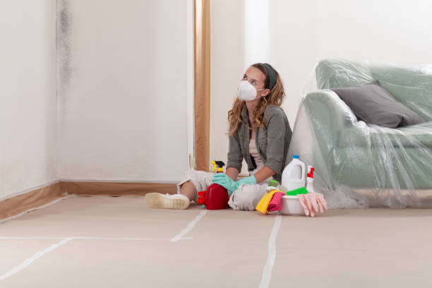 Reliable Commercial Mold Remediation contractor in Holbrook, AZ by WQB Mold Removal